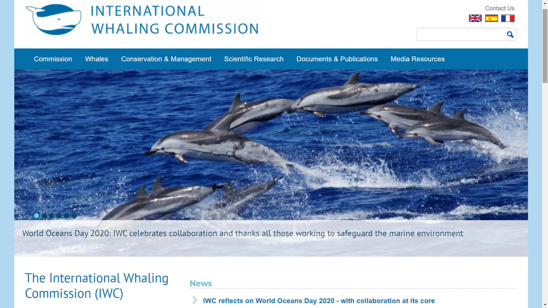 International Whaling Commission